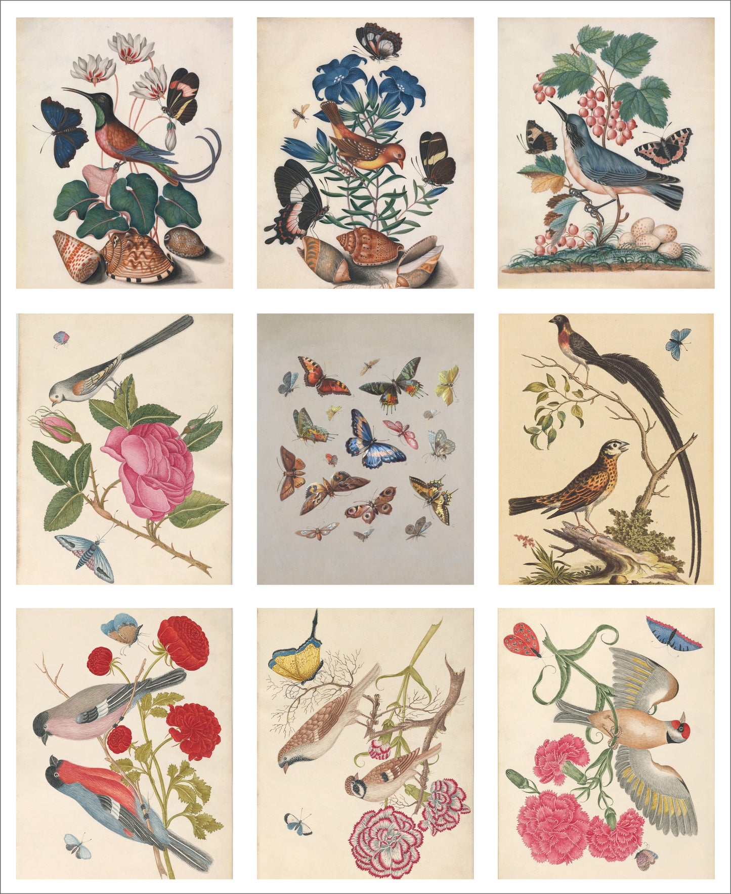 9 x MINI Vintage Art Fabric Prints | Birds & Butterflies | NEW LUXURY FABRIC