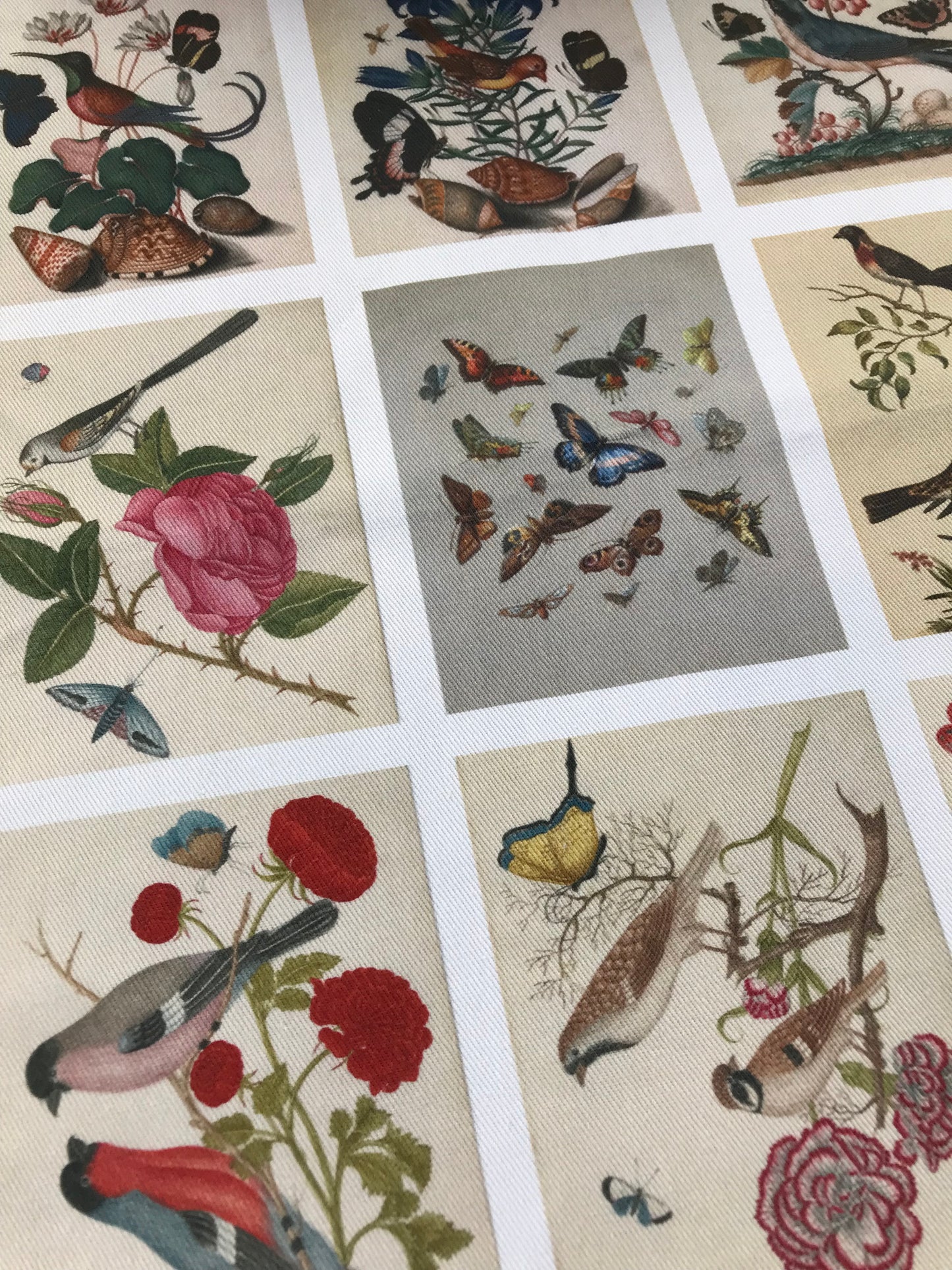9 x MINI Vintage Art Fabric Prints | Birds & Butterflies | NEW LUXURY FABRIC