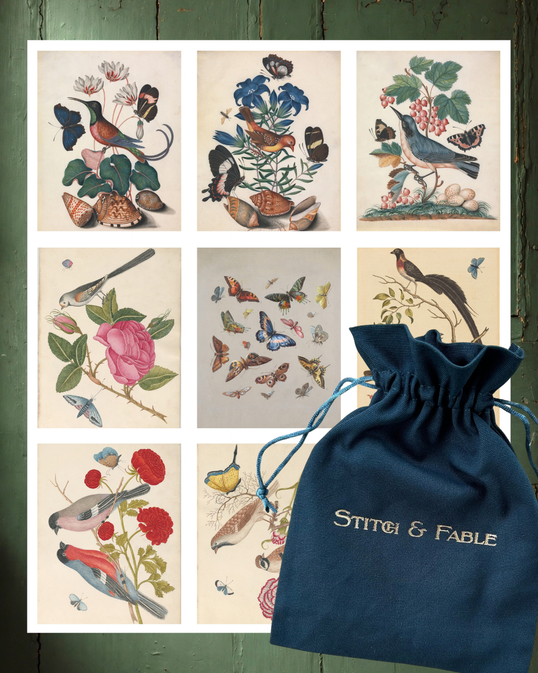 Mini Print Gift Set | Birds & Butterflies
