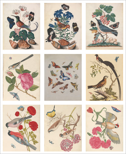 Set of 9 Mini Vintage Art Fabric Prints | Birds & Butterflies