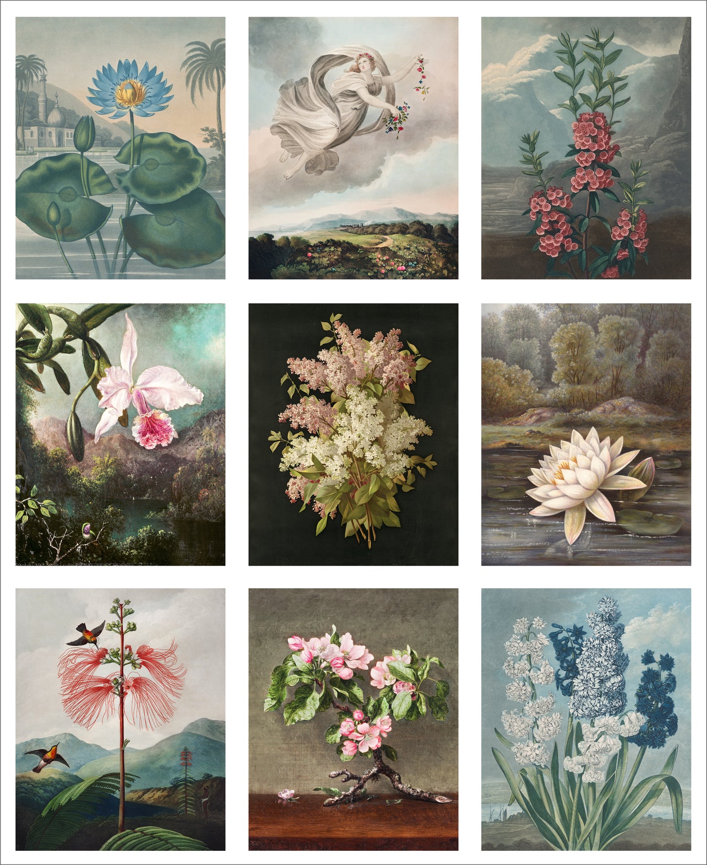 Set of 9 Mini Vintage Art Fabric Prints | Flora