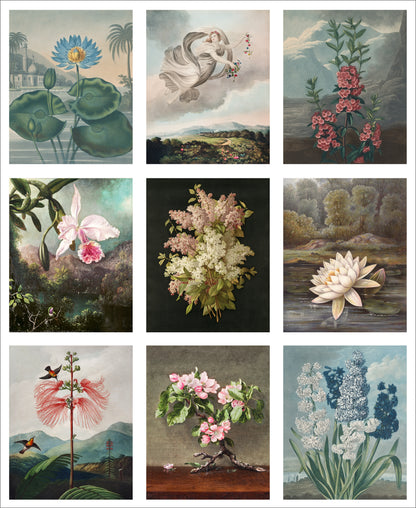 Set of 9 Mini Vintage Art Fabric Prints | Flora
