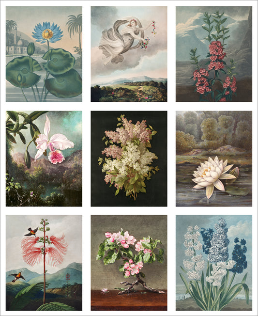 Set of 9 Mini Vintage Art Fabric Prints | Flora