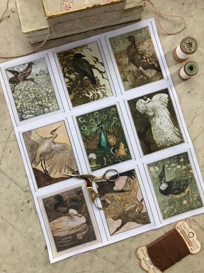Set of 9 Mini Vintage Art Fabric Prints | Theo Van Hoytema Birds