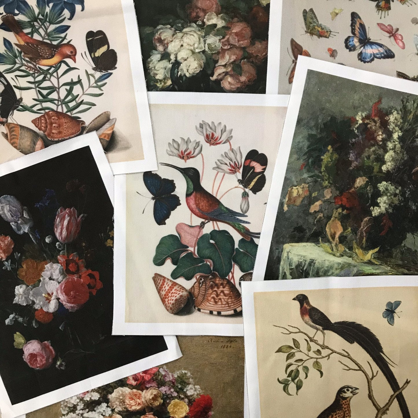 Limited Edition Bundle | Birds, Butterflies & Florals