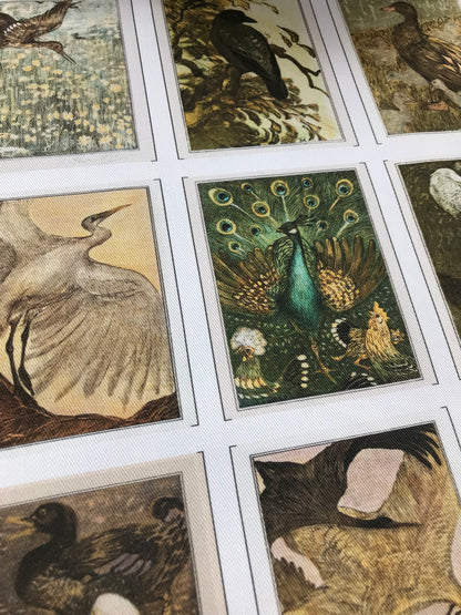Set of 9 Mini Vintage Art Fabric Prints | Theo Van Hoytema Birds