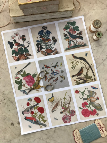 Set of 9 Mini Vintage Art Fabric Prints | Birds & Butterflies